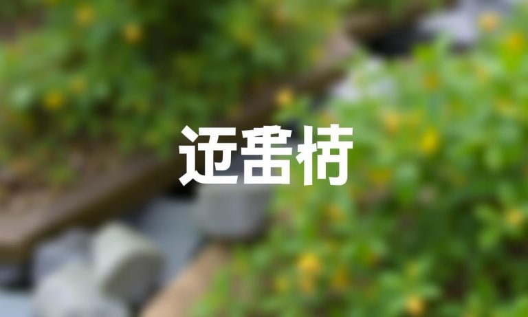 沃伊切赫·什琴斯尼：一代守門傳奇